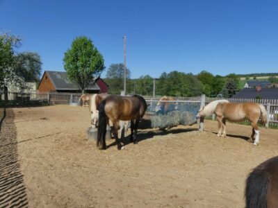 Stable, water-permeable ground reinforcement at feeding stations