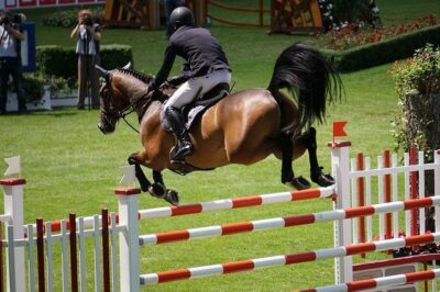 Show jumping on riding arena with tread layer from novus:HM