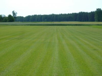 Reinforcement of grass areas on Airfields from novus-HM