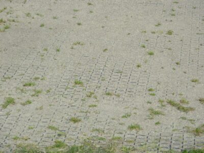 Fester Sandboden mit TERRA-GRID E 35 Rasengitterplatten