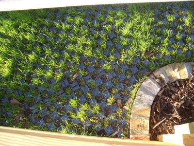 grass grows through the paddock tiles