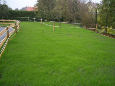 Paddock with grass