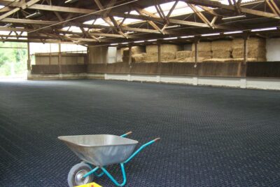 renovation from a riding-hall with TERRA-GRID E 35