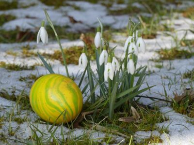 Frohe Ostern und einen wunderbaren Start in die „grüne Saison“!