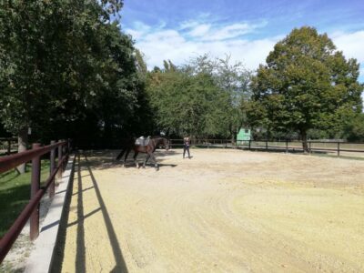 Training on renovated riding arena