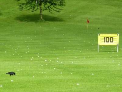 Golfplatz mit Rasengitterplatten TERRA-GRID E 35