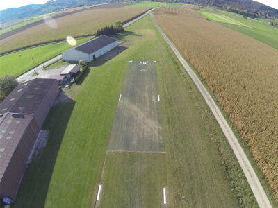 Grassreinforcement for runways